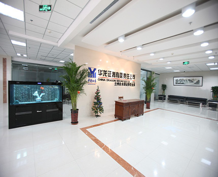 華龍證券股份有限公司蘭州合水路營(yíng)業(yè)部原屬蘭州市信托投資公司成立于1994年。伴隨著中國(guó)證券市場(chǎng)的發(fā)展，經(jīng)中國(guó)證鑒會(huì)批準(zhǔn)，由甘肅省人民政府組織籌建，于2001年5月18日并入華龍證券有限責(zé)任公司。營(yíng)業(yè)部