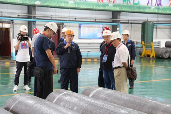 “我是股東”甘肅行—中小投資者走進莫高股份和方大炭素