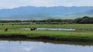 甘肅證監(jiān)局主要負(fù)責(zé)同志一行到協(xié)會調(diào)研指導(dǎo)工作