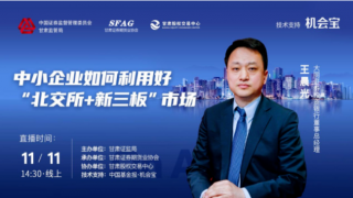 甘肅轄區(qū)舉辦中小企業(yè)如何利用好“北交所+新三板”市場網(wǎng)絡(luò)直播培訓(xùn)