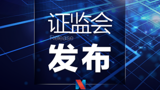 關(guān)于嚴(yán)把發(fā)行上市準(zhǔn)入關(guān)從源頭上提高上市公司質(zhì)量的意見（試行）