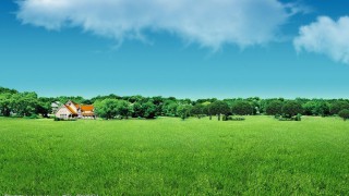 投資者話題之遠(yuǎn)離非法薦股