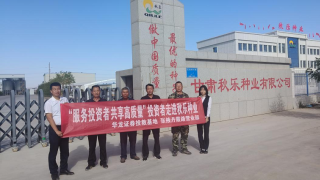 踐行金融教育宣傳月成果，扎實(shí)推進(jìn)金融為民辦實(shí)事 ——華龍證券張掖丹霞路營(yíng)業(yè)部組織投資者走進(jìn)秋樂(lè)種業(yè)