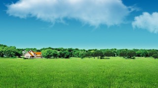 國泰君安證券慶陽安定東路營業(yè)部 “2024年世界投資者周”活動宣傳